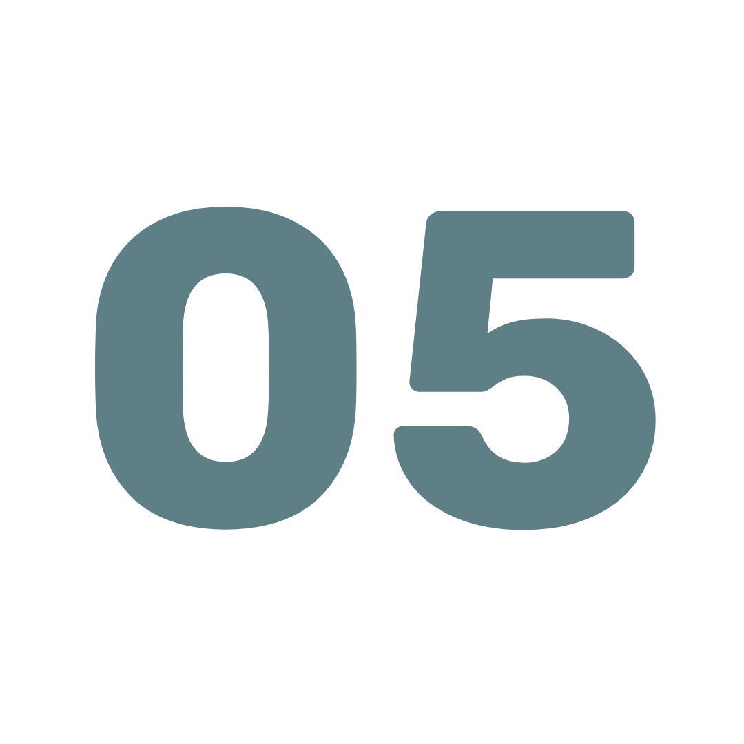אייקון 5