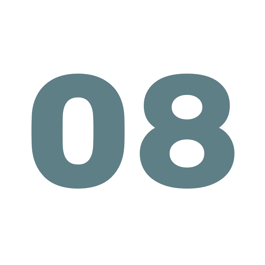 אייקון 8